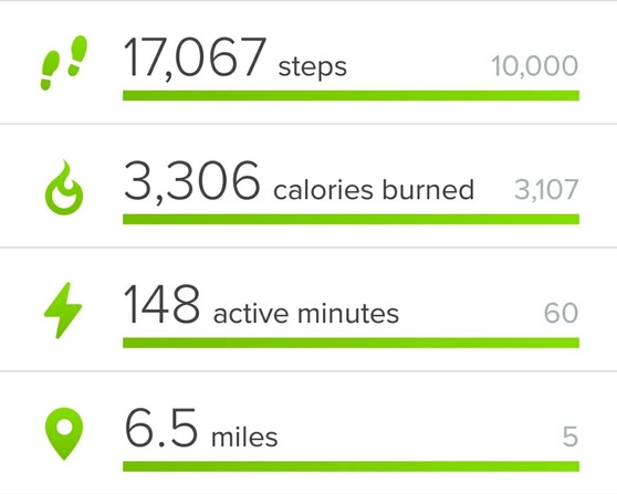 My new obsession: Fitbit Flex 2 - Lost in the North
